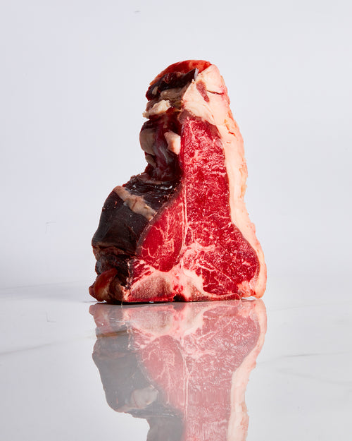 Fiorentina Black Chopin PL