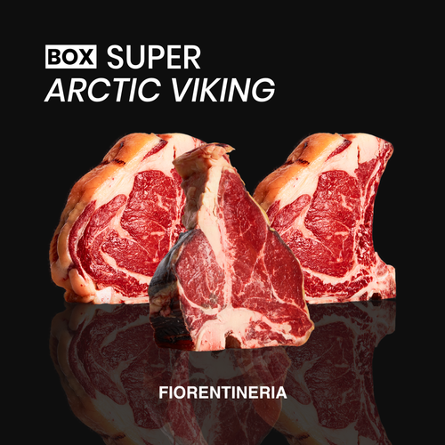 BOX Super Arctic Viking