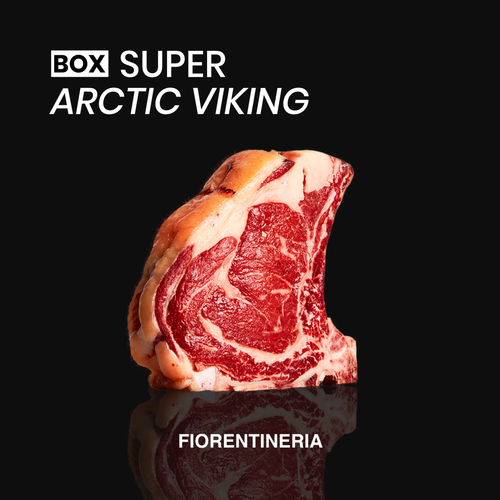 BOX Super Arctic Viking